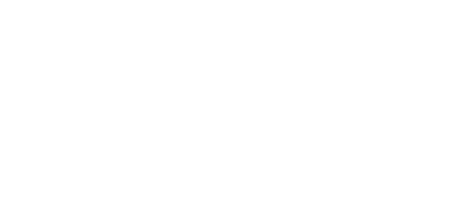 asset_1